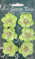 GREEN TARA FLOWERS - LOTUS - LIME XF14084Li